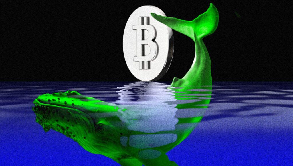 ETF Bitcoin zmniejszyły siłę wielorybów i zwiększyły stabilność: Analiza.